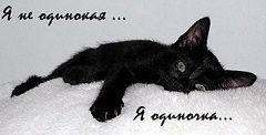 Аватара пользователя